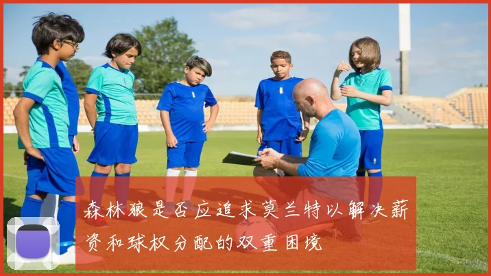 森林狼是否应追求莫兰特以解决薪资和球权分配的双重困境